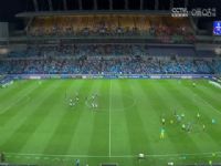 г ŻVSϾֲſ 20240914