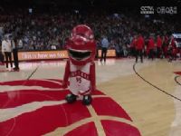 NBA������ ��ţVS���� 20241217