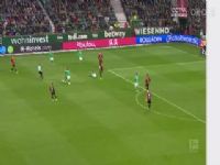 ¼ ¡vsֺ (Ժ) 20230512