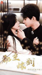 �����޵��ҵ����׶���ס��